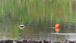 water-buoys-dewatering-saudisits-1